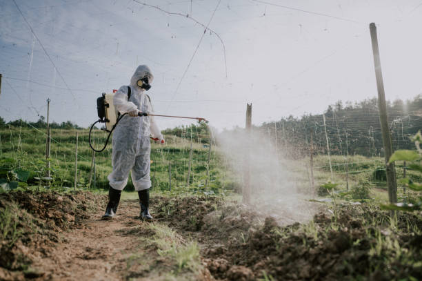 Best Mosquito Control Services  in Mason City, IA