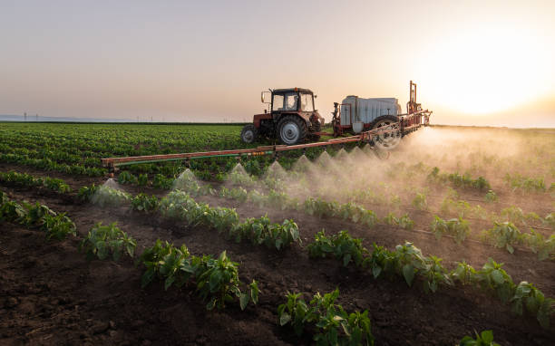 Pest Prevention Services in Mason City, IA