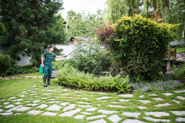 Best Pest Removal Services  in Mason City, IA