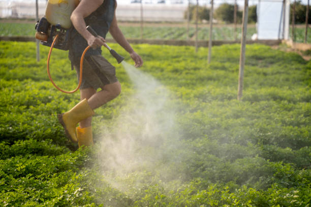 Best Pest Prevention Services  in Mason City, IA