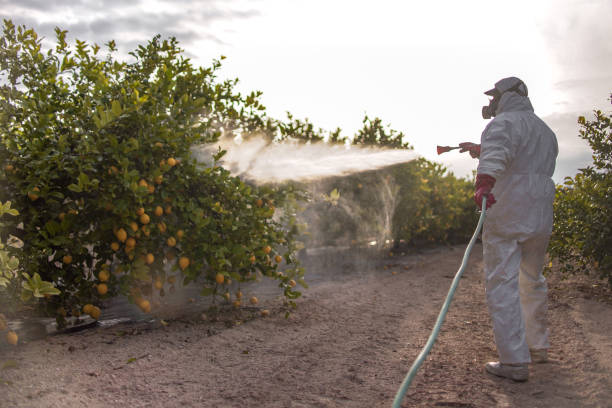 Best Residential Pest Control  in Mason City, IA