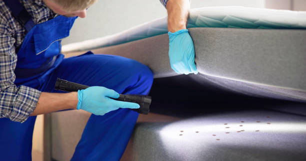 Professional Pest Control in Mason City, IA