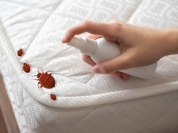 Best Cockroach Control Services  in Mason City, IA