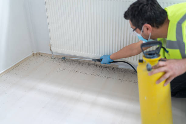 Best Flea Control Services  in Mason City, IA