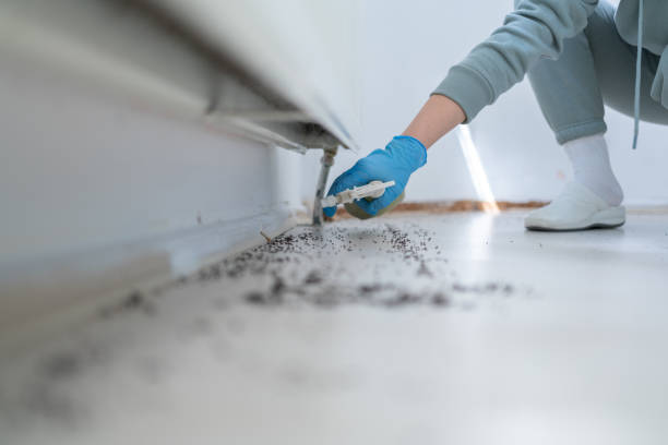  Mason City, IA Pest Control Pros